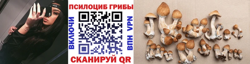 закладки  Тейково  Псилоцибиновые грибы GOLDEN TEACHER 